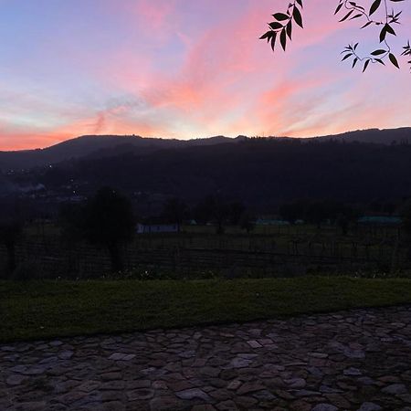 アルコス・デ・ヴァルデヴェス Quinta Da Aranhaヴィラ エクステリア 写真